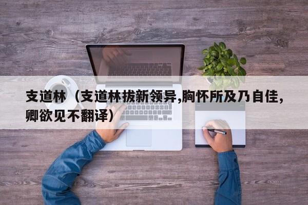 支道林（支道林拔新领异,胸怀所及乃自佳,卿欲见不翻译）
