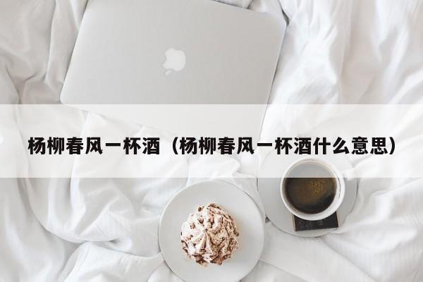 杨柳春风一杯酒（杨柳春风一杯酒什么意思）