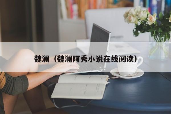 魏澜（魏澜阿秀小说在线阅读）