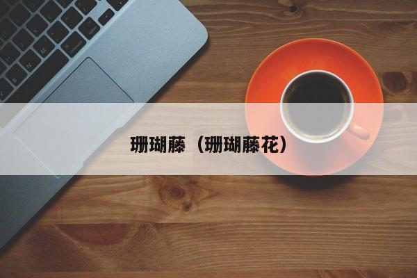 珊瑚藤（珊瑚藤花）