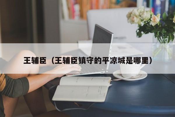 王辅臣（王辅臣镇守的平凉城是哪里）