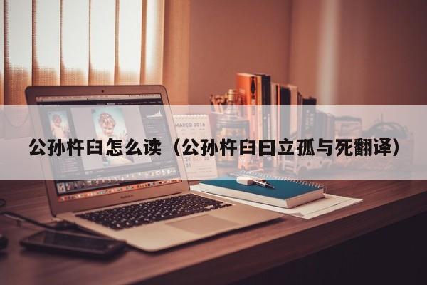 公孙杵臼怎么读（公孙杵臼曰立孤与死翻译）