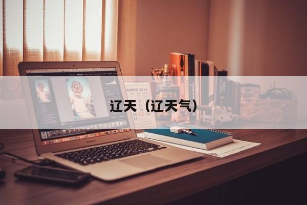 辽天（辽天气）