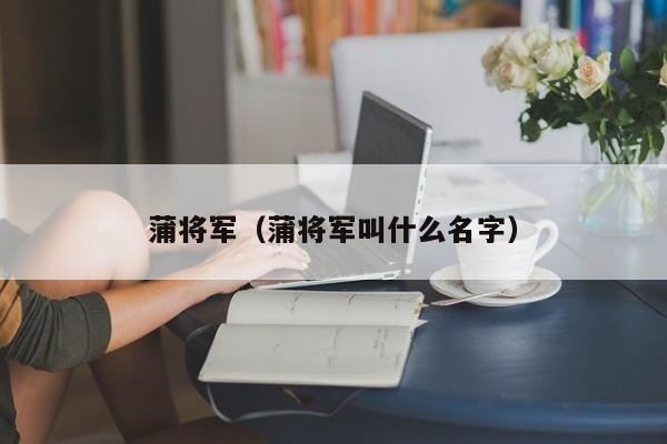 蒲将军（蒲将军叫什么名字）