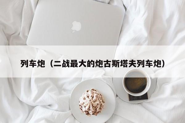 列车炮（二战最大的炮古斯塔夫列车炮）