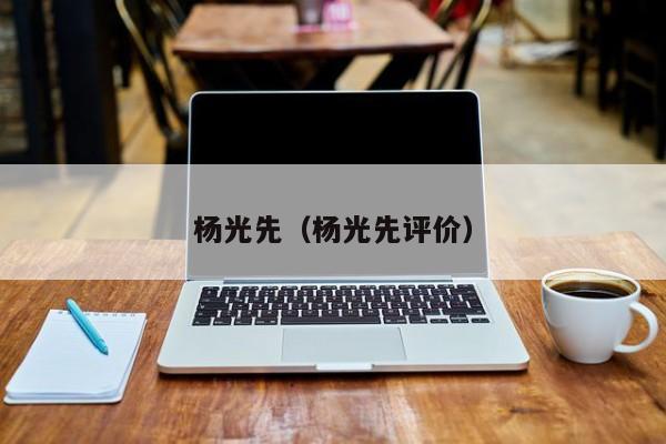 杨光先（杨光先评价）