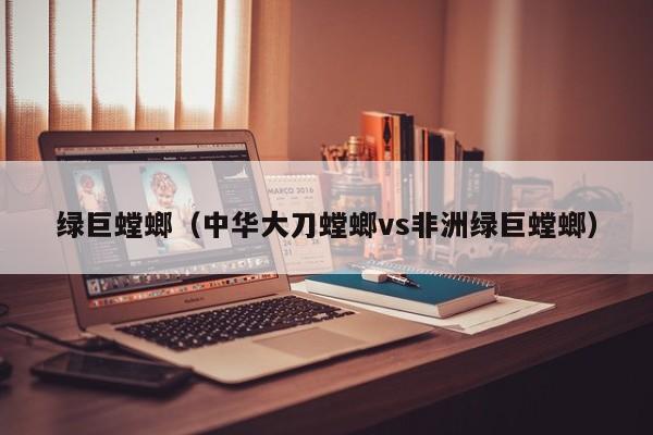 绿巨螳螂（中华大刀螳螂vs非洲绿巨螳螂）