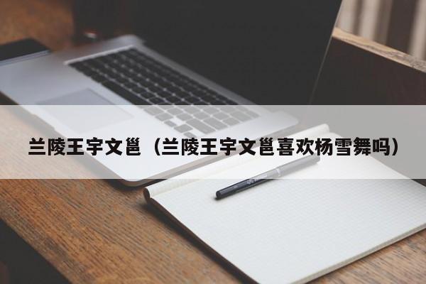 兰陵王宇文邕（兰陵王宇文邕喜欢杨雪舞吗）
