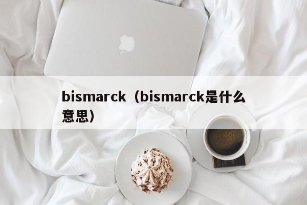 bismarck（bismarck是什么意思）