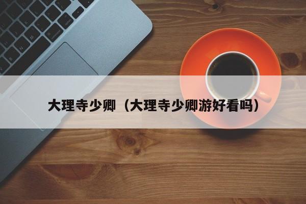 大理寺少卿（大理寺少卿游好看吗）