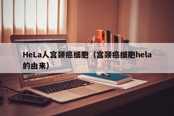 HeLa人宫颈癌细胞（宫颈癌细胞hela的由来）