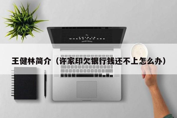 王健林简介（许家印欠银行钱还不上怎么办）