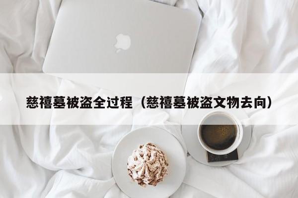 慈禧墓被盗全过程（慈禧墓被盗文物去向）