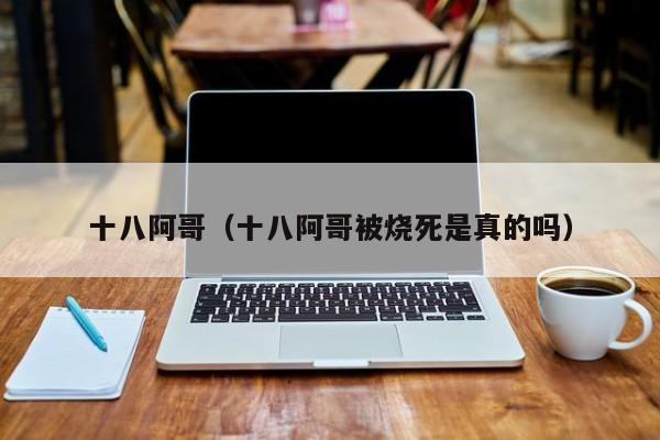 十八阿哥（十八阿哥被烧死是真的吗）