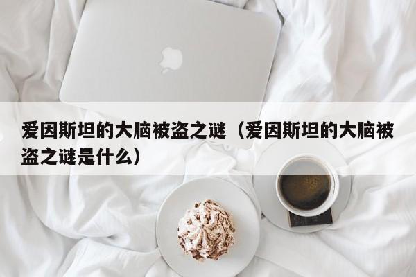 爱因斯坦的大脑被盗之谜（爱因斯坦的大脑被盗之谜是什么）