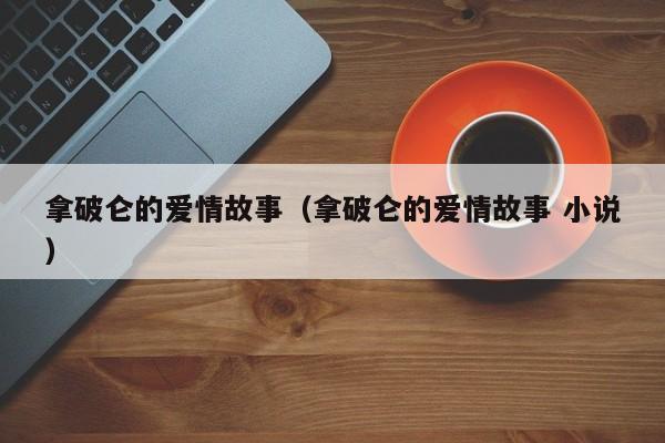 拿破仑的爱情故事（拿破仑的爱情故事 小说）