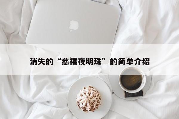 消失的“慈禧夜明珠”的简单介绍